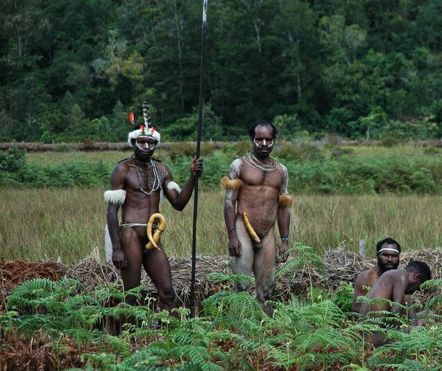 аборигени с увеличени членове