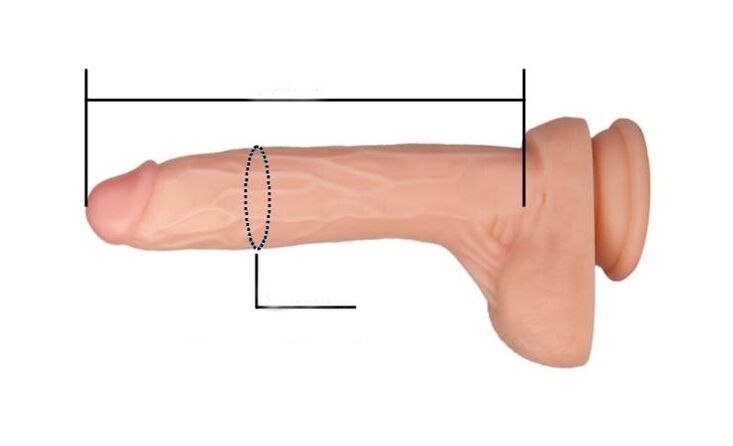 как да измерим размера на пениса